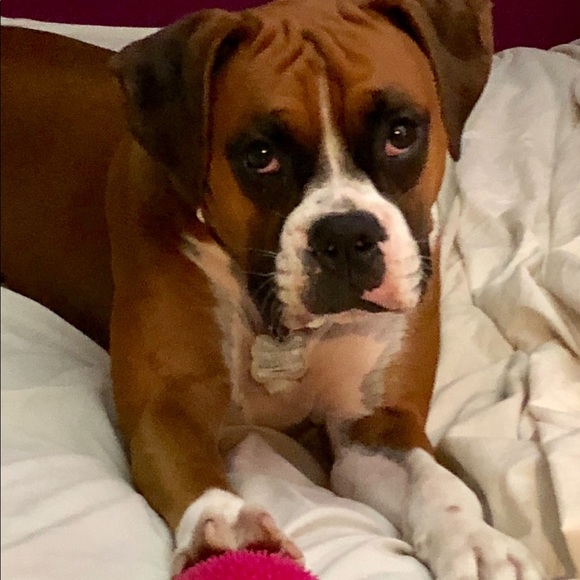 MAKE ME AN OFFER. We’re ALL WINNERS. !!👍😉👚👕👗🩱👙👠🥿🩴🥻👘🥾🧤👒🩳🥻🐶🐾💕 - Picture 4 of 16